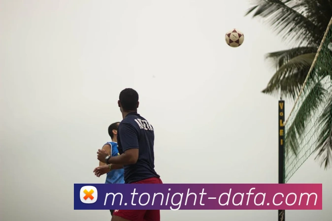 App Interface Preview